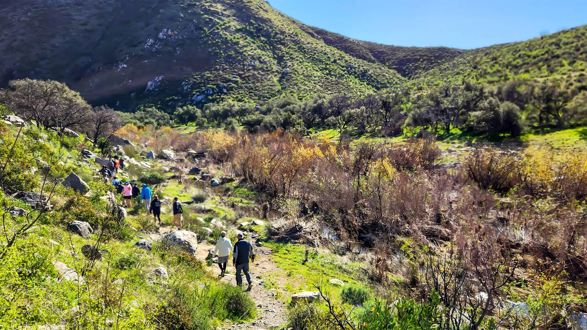 ncl ensenada excursions